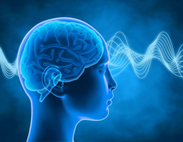 How Billionaire Brain Wave works by stimulating the hippocampus with theta frequencies